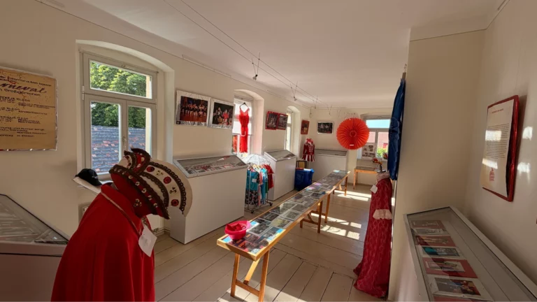 dorfmuseum-grossgoerschen-karneval-7